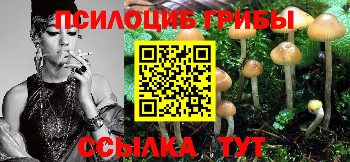 Галлюциногенные грибы Magic Shrooms  Вход с VPN  Шумерля 